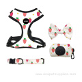 Dog harness Collar and Leash for small dog